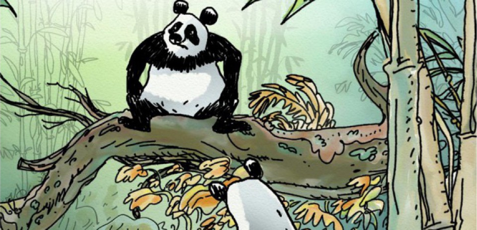 Pandas dans la brume Pandas dans la brume