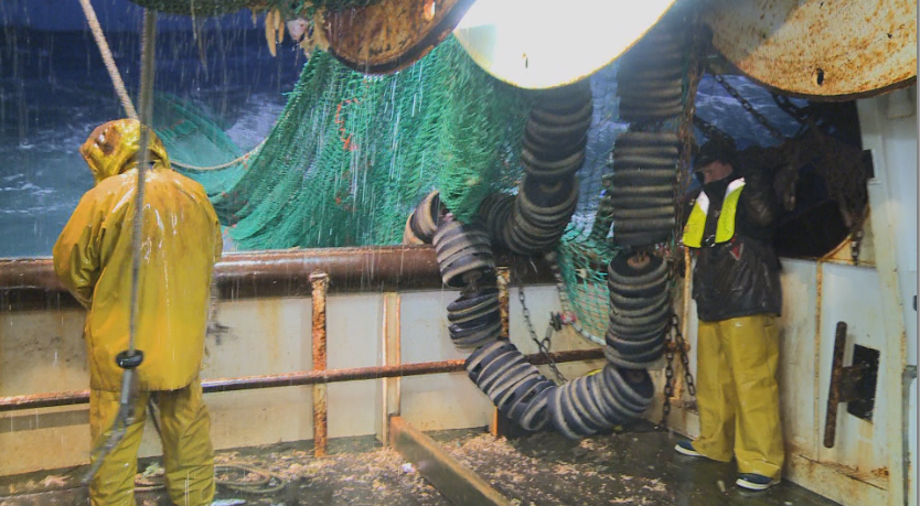 SALE TEMPS POUR LE CHALUT primé au Festival Pêcheurs du monde ! SALE TEMPS POUR LE CHALUT primé au Festival Pêcheurs du monde !